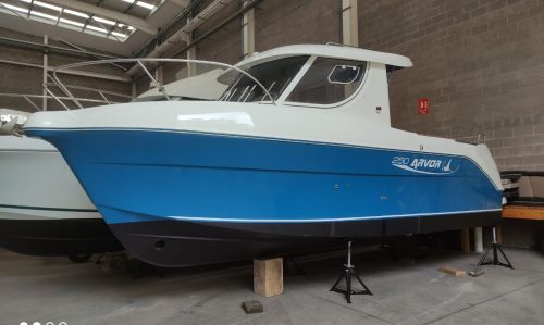 ARVOR 250